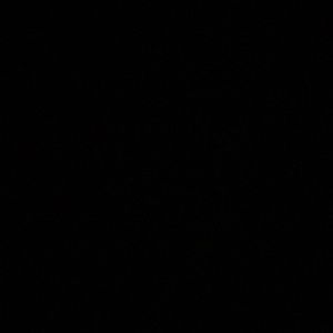 Meet your Posher, Jorge